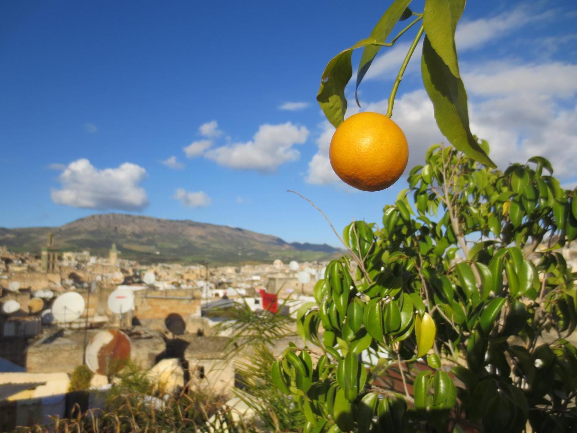 Dar Lalla Kenza Fès Exteriér fotografie