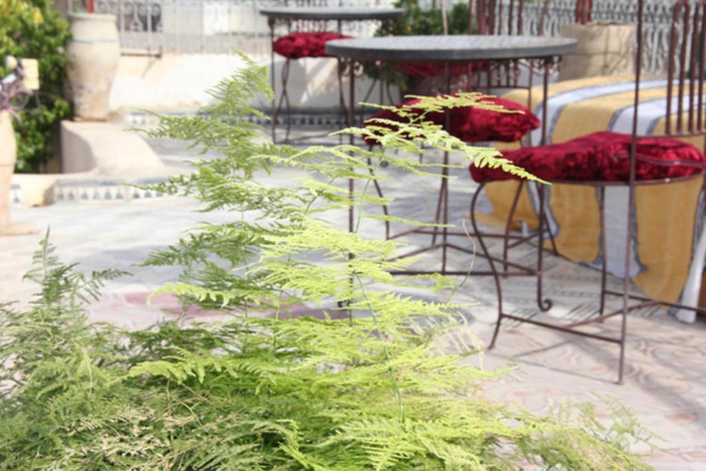 Dar Lalla Kenza Fès Exteriér fotografie